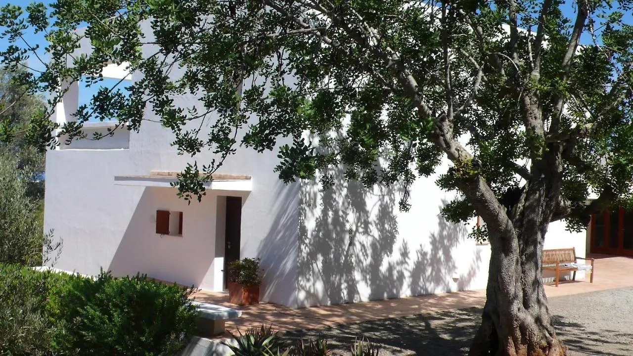 White House Ibiza Modernist Design Can Perez Sea Views Es Figueral Санта-Эулалия-дель-Рио